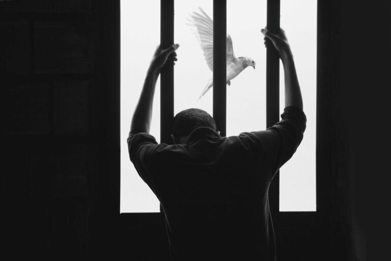 hasan-almasi-aIRBGPafi74-unsplash1